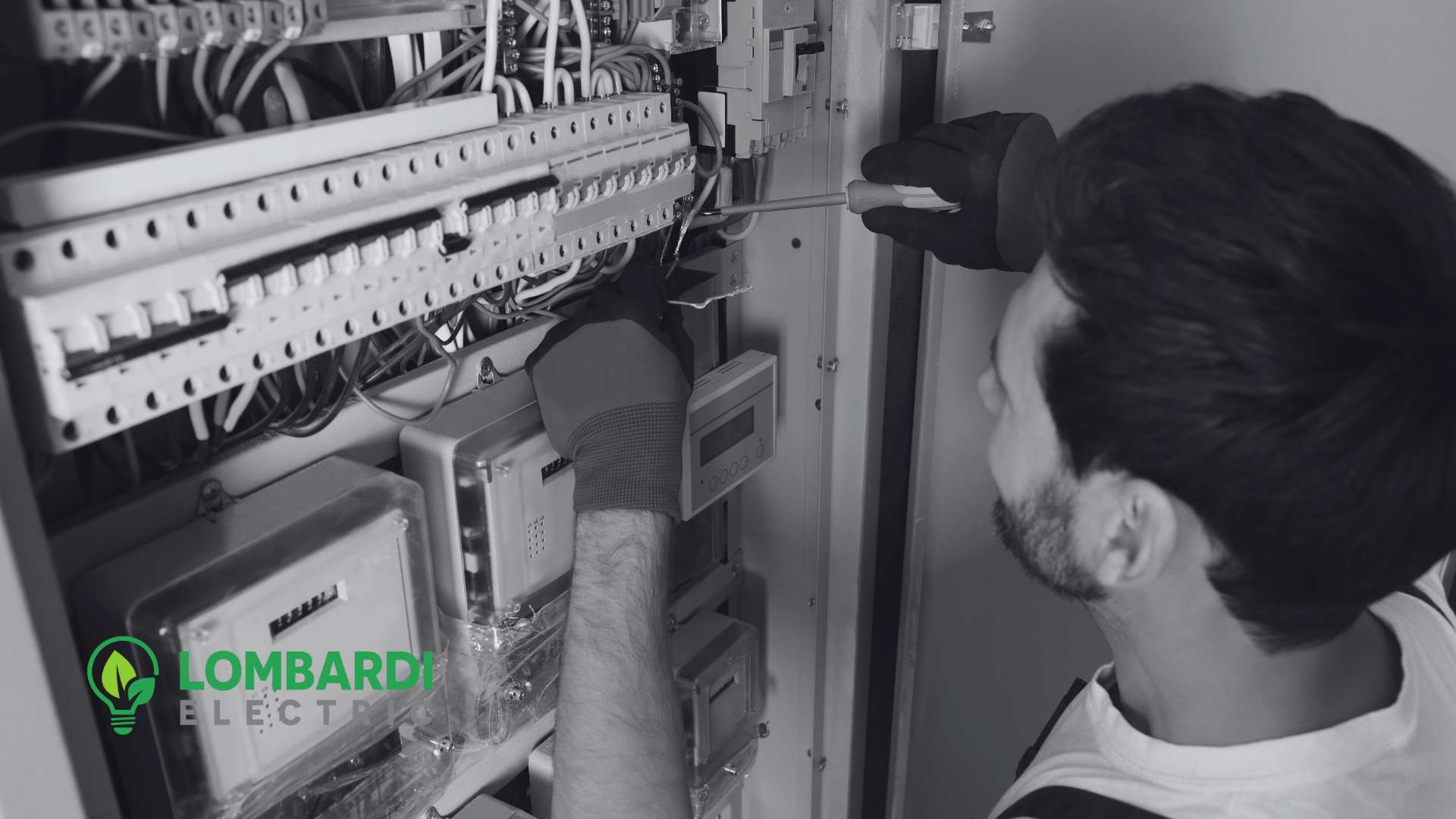 electrical panel upgrade cost alexandria, la